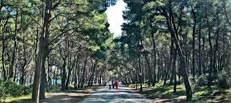 Marjan Forest Park